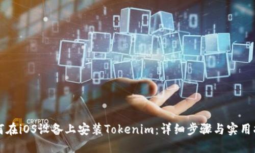 如何在iOS設(shè)備上安裝Tokenim：詳細步驟與實用指南