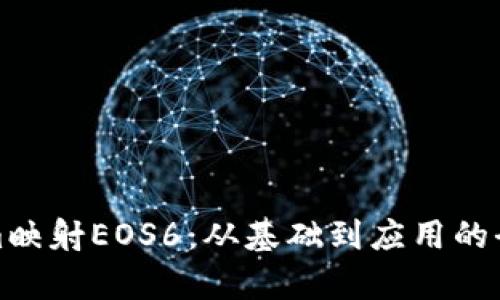 Tokenim映射EOS6：從基礎(chǔ)到應(yīng)用的全面解析