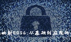 Tokenim映射EOS6：從基礎(chǔ)到應(yīng)