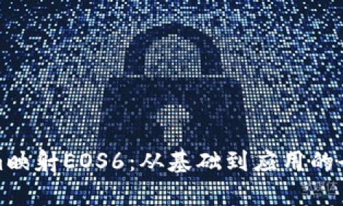 Tokenim映射EOS6：從基礎(chǔ)到應(yīng)用的全面解析
