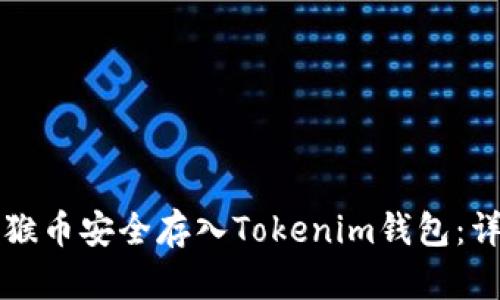 如何將猴幣安全存入Tokenim錢包：詳細指南