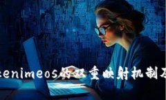 深入解析Tokenimeos的雙重映