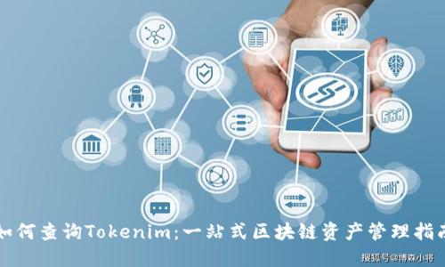 如何查詢Tokenim：一站式區(qū)塊鏈資產(chǎn)管理指南