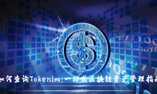 如何查詢Tokenim：一站式區(qū)塊鏈資產(chǎn)管理指南