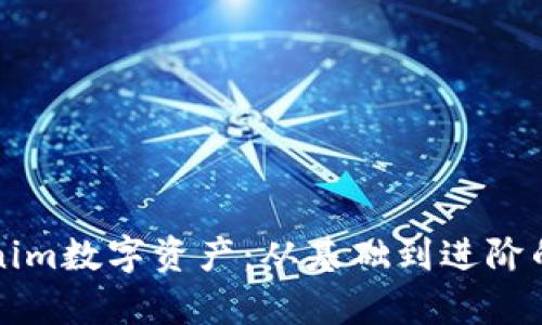 全面了解Tokenim數(shù)字資產(chǎn)：從基礎到進階的全面教學指南