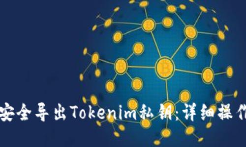 如何安全導(dǎo)出Tokenim私鑰：詳細(xì)操作指南