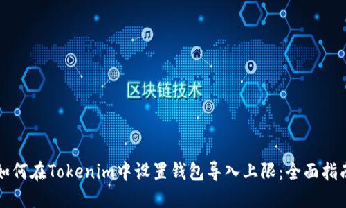 如何在Tokenim中設(shè)置錢包導(dǎo)入上限：全面指南