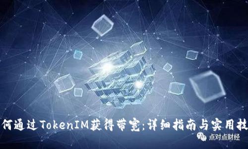 如何通過TokenIM獲得帶寬：詳細指南與實用技巧