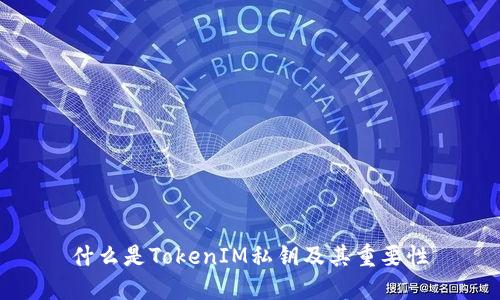 什么是TokenIM私鑰及其重要性
