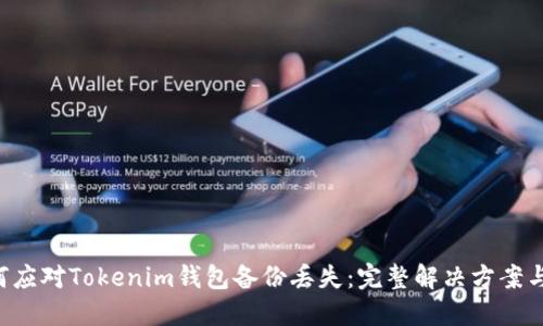 diaoti如何應(yīng)對(duì)Tokenim錢(qián)包備份丟失：完整解決方案與預(yù)防措施