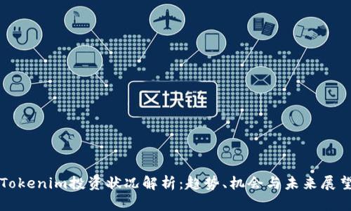 Tokenim投資狀況解析：趨勢(shì)、機(jī)會(huì)與未來(lái)展望