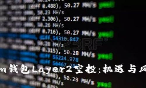 深入解析Tokenim錢包Layer2空投：機遇與風險并存的新時代