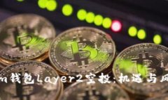 深入解析Tokenim錢包Layer2空