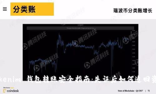 Tokenim 錢包轉賬安全指南：失誤后如何追回資產