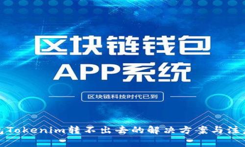 冷錢包Tokenim轉(zhuǎn)不出去的解決方案與注意事項