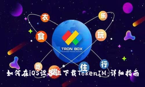 如何在iOS設(shè)備上下載TokenIM：詳細(xì)指南